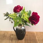 Sally Rowley - @wastenot_wantknot - Instagram