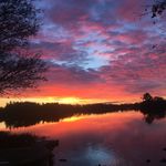 Sally Rowley - @sillyzoom - Instagram
