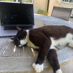 Sally Rushton - @jashmatriach - Instagram