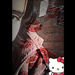 Sally Arellano - @sallyarellanosaavedra - Instagram