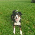 Sally Price-Sage - @saps2_ - Instagram