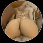 Samantha Sally - Facebook