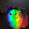 sallysamara322 - @sallysamara322 - TikTok