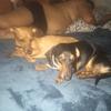 Sally.Sandy - @sally.sandy - TikTok