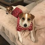 💗Lucy And Sally💜 - @lucy_sally.satterfield - Instagram
