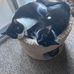 Sally Sauer - Facebook