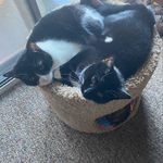 Sally sauer - @sallysauer606 - Instagram
