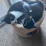 Sally Sauer - @sallysauer314 - Instagram