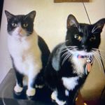 Sally Sauer - @sallysauer70 - Instagram