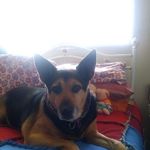 Sally Sauer - @sauersally1 - Instagram