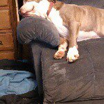 @sallysauer111 - Instagram