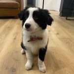Sally-Anne Saxton - @ssaxt111 - Instagram
