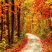 Sal Scalzo - Facebook