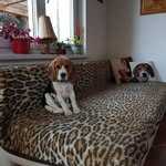 Sally Vom Schlossaltenau - @sallyvomschlossaltenau - Instagram