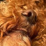 Sally Schofield - @schofieldsally - Instagram