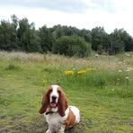 Sally Schofield - Facebook