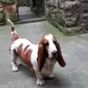 sally schofield - @sally.schofield7 - TikTok