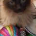 Sally Schuck - Facebook