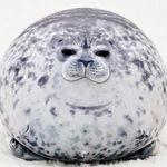 Caleb Seals - @sally_seals105 - Instagram