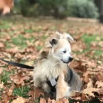 Sally Seaton - @salbugseaton - Instagram