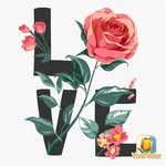 Sally Seeger - @seeger3340 - Instagram