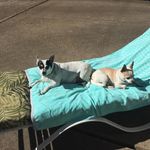 Sally Seegers - @sally.seegers - Instagram