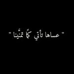 Sally S Elfaramawy - @sallyselfaramawy - Instagram