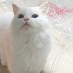 Sally - @serious_sally_ - Instagram