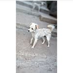 S A L L Y  ♡ 🐾 - @sally.serranom - Instagram