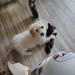 Sally Serrano - @sally.serrano.359 - Instagram