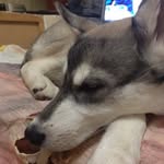 Sally Short - @sallyshort4880vu - Instagram