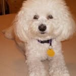 Sally Silverman - @bubbie_silverman - Instagram