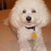 Sally Silverman - Facebook