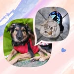 Sally & Simon - @sallyesimon - Instagram