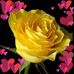 Sally Simon - Facebook