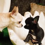 Sally&Simon - @loveis.s.s - Instagram