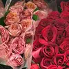 SallySimona l Ottawa - @sallysimonaa - TikTok