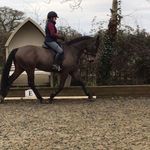 Sally Sloan - @sally.sloan.564 - Instagram