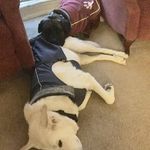 Sally Sloan - @sally_sloa0 - Instagram