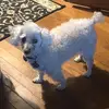 sallysloan25 - @sallysloan25 - TikTok