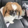 Sally Smith - @sallysmith487 - TikTok