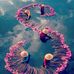 Sally Soliman - Facebook