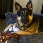 Sally Jordan-Sprague - Facebook