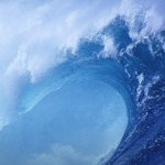 @sallysprague - Instagram