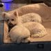 Sally Squibb - Facebook