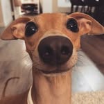 Sally Stalker - @misstalker2021 - Instagram