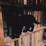 @sallystalker5 - Instagram