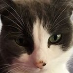 Sally Stamp - @sally.stamp.15 - Instagram