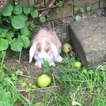 Sally&Stampe - @sally_stampe - Instagram