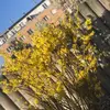 sally.stein - @sally.stern - TikTok